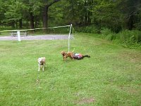 photos 2000-200901727
